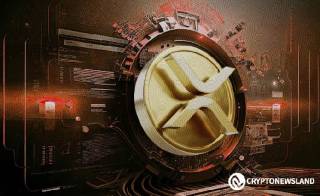 Зростання спалювання монет XRP на XRPL означает рост процесса уничтожения монет XRP на платформе XRPL.