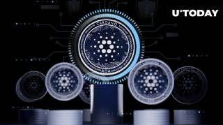 Три унікальні особливості Cardano: мітрил, безблочний стейкінг, множинні DEX