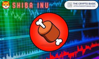 Coinbase готов добавить BONE Shiba Inu