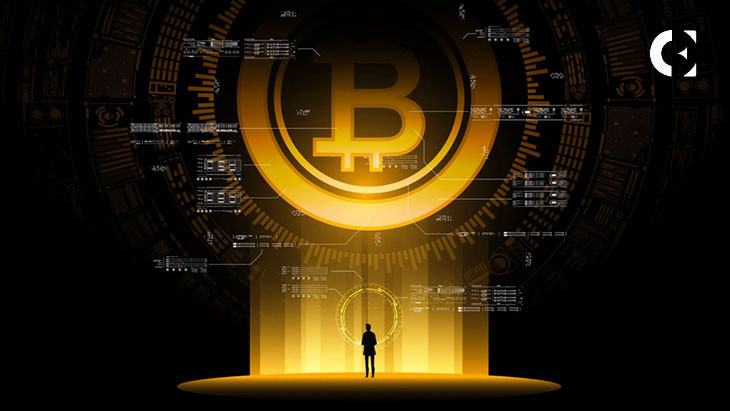 Bitcoin Halving Impact: Середні доходи зросли до 21,74 BTC