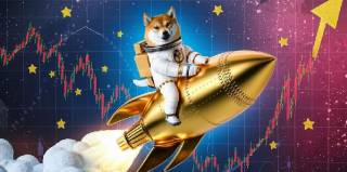 Мем-койни на Solana та Ethereum радують торговців