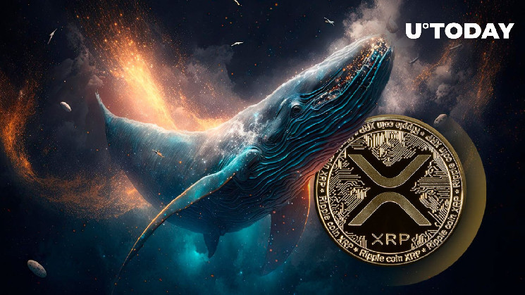 Крупные инвесторы покупают XRP: бычий сигнал на рынке