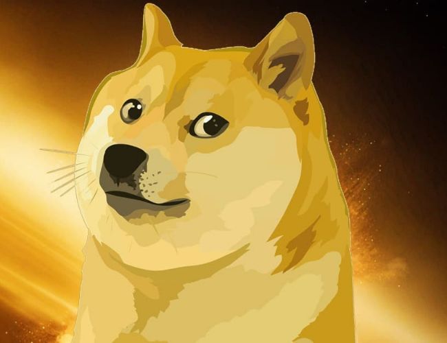 Армия DOGE: предупреждение от участника Dogecoin