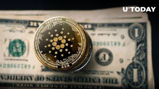 25 мільярдів ADA за 24 години: аналіз активності