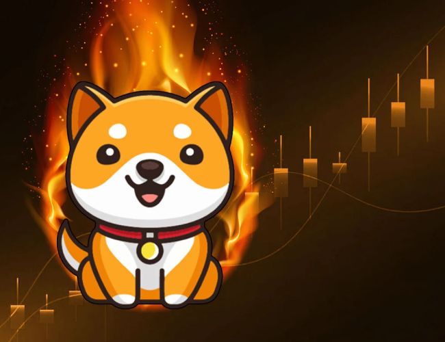 Baby Dogecoin: Рост ціни на 15% благодаря нулевым комиссиям