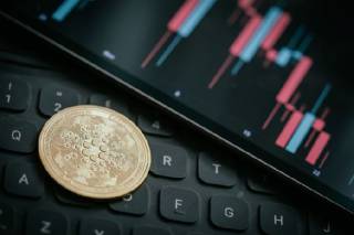 Тільки 35% власників Cardano отримали прибуток