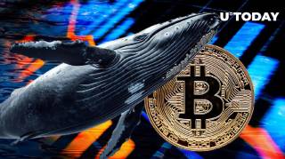Продаж BTC перед падінням ціни: рух китів?