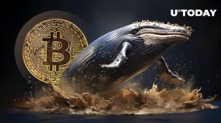 Нереалізовані прибутки довгострокових гравців Bitcoin