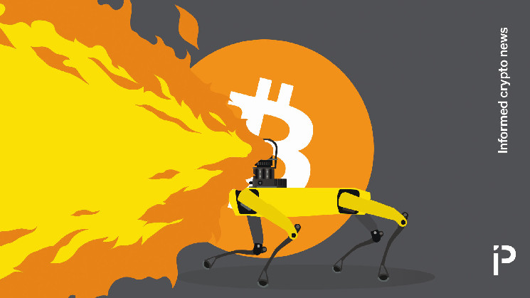 Використання біткоїна для покупки роботизованої собаки-вогнемета