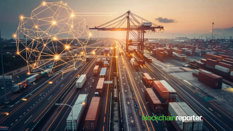 Стаття: Три токени для стійкого криптопортфеля: Morpheus.Network ($MNW), Chainlink ($LINK) та Filecoin ($FIL)