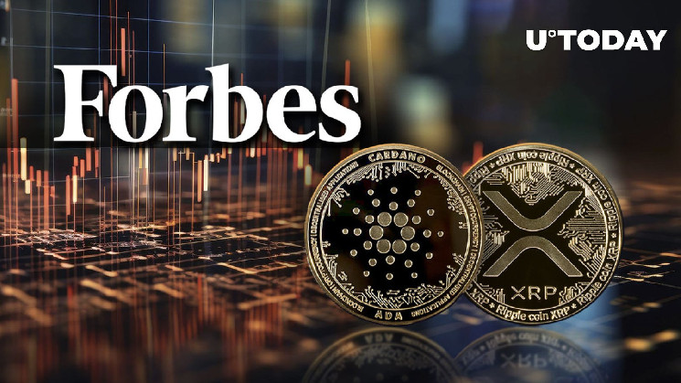Недоліки XRP, ADA, ETC та Algorand від Forbes
