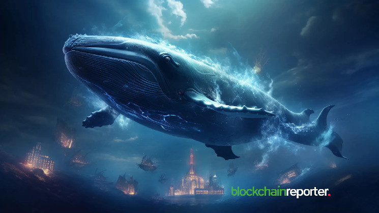 Bitcoin Whale Activity Spikes: Сигнал для маркетологів