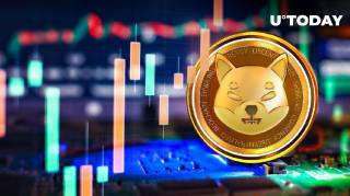 Найбільший власник SHIB: розкриття і переміщення мільярдів