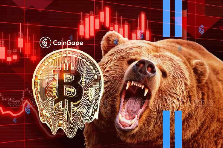 Прогнозы Фила Бонелло о будущем Биткоина - массовая коррекция цены впереди