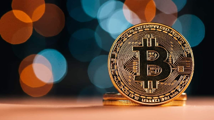 Нові кошельки Bitcoin стрімко зростають