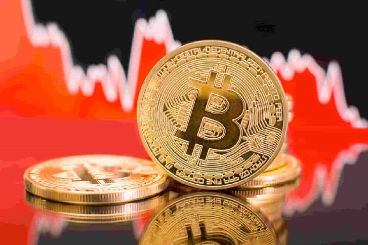 Биткойн: возможный пик бычьего рынка согласно Питеру Брандту.