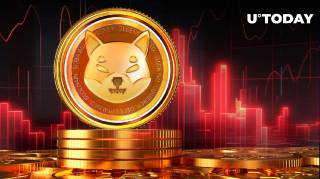 Корекція Шиба Іну: що далі?