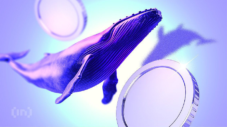 Криптовалютні кити: вибірки статті по ADA, TON та ARB