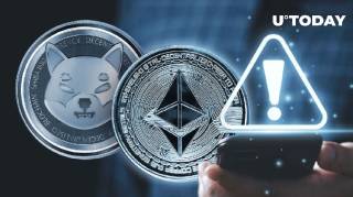 Важливість використання SHIB на Ethereum: Пояснення і виклики