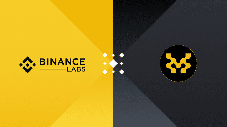 Новітня інвестиція Binance Labs: безпека розумних контрактів