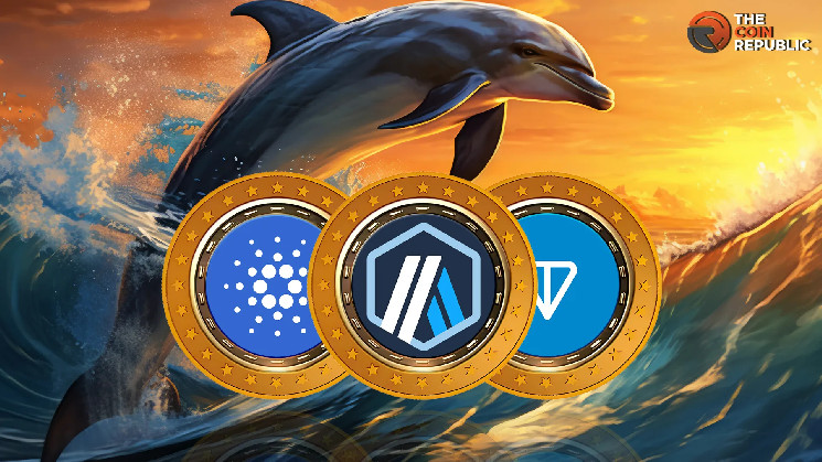 Топ 3 альткоїни для інвестування у травні