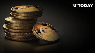 Создатель Dogecoin против SocialFi: прагматичный взгляд