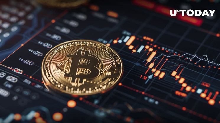 Сильное восстановление биткоина: ключевые метрики на цепи