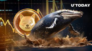 Швидкий зріст транзакцій китів Shiba Inu