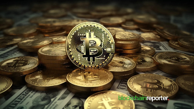 Вихід китів та акул з Bitcoin через коливання цін