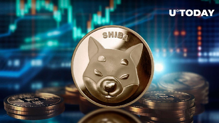 Владелец передал 420 млрд токенов SHIB, цена может восстановиться.