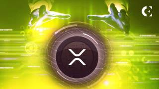 Ціна Ripple зростає, XRP активність та ринковий вибух