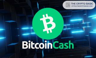 Ціна Bitcoin Cash: прогноз на травень 2024 року