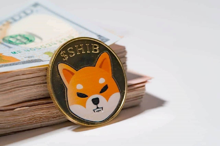 Кит Shiba Inu накопичує $40 мільйонів у SHIB: аналіз транзакції