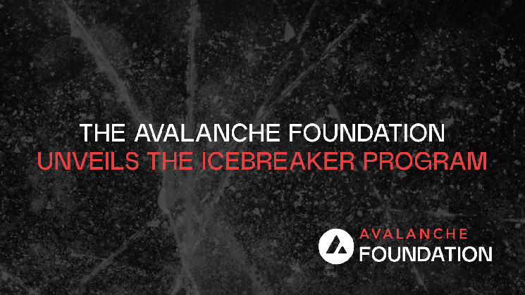 Програма Icebreaker: Зміцнення росту на Avalanche