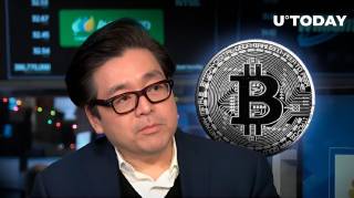 Ціна Bitcoin (BTC) ще не досягла піку - Том Лі