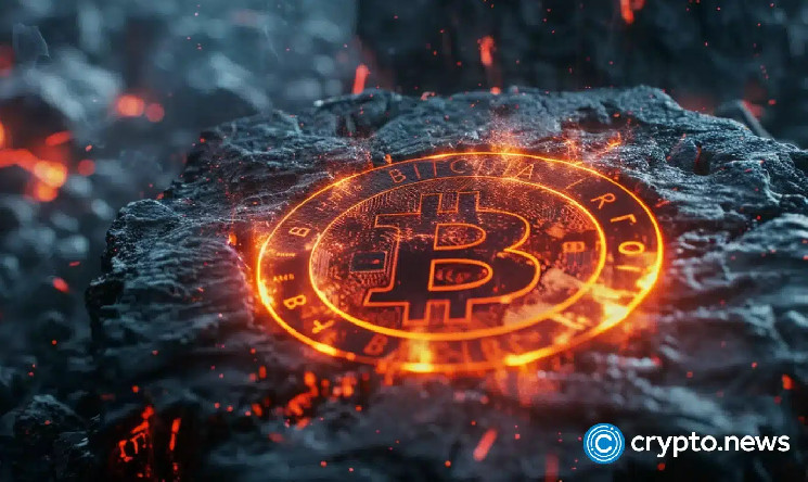 Курс BTC, DOGE та WIF цією неділею