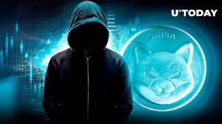 Нове місце розташування Shiba Inu в Лімі, Перу