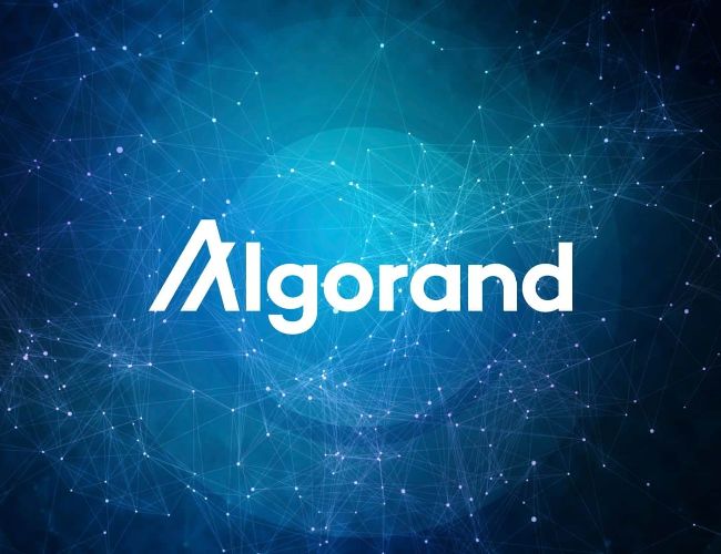 Негативи ALGO: чому криптовалюта Algorand втрачає підтримку