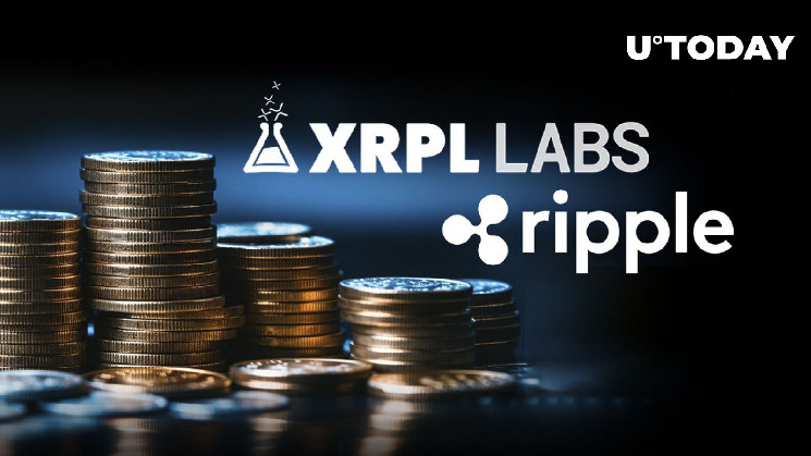 Новий альянс Decentralized Recovery Alliance: лідерство Ripple та XRPL Labs