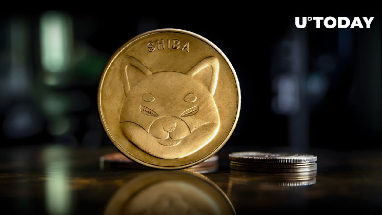 Недостатність транзакцій китів на мережі Shiba Inu (SHIB)