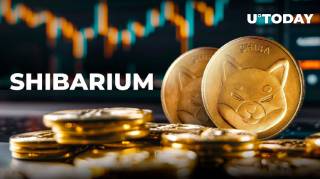 Підйом плати за транзакції токенів Shiba Inu: що це означає для мережі?