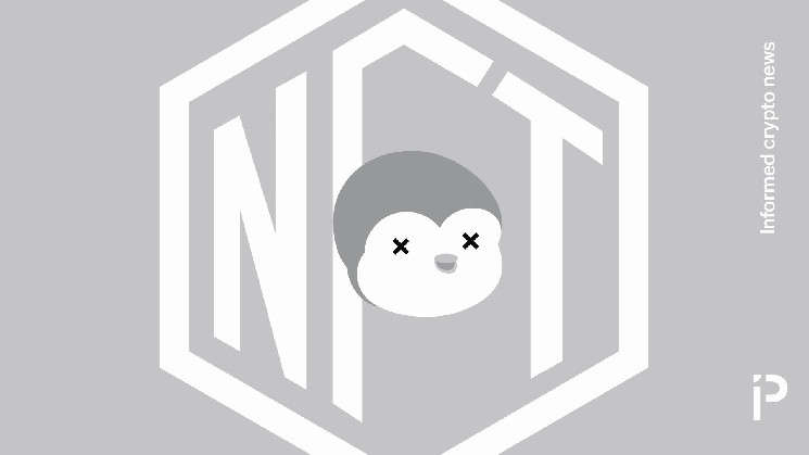 Пухла Красуня: крипто-мошенники в мире NFT