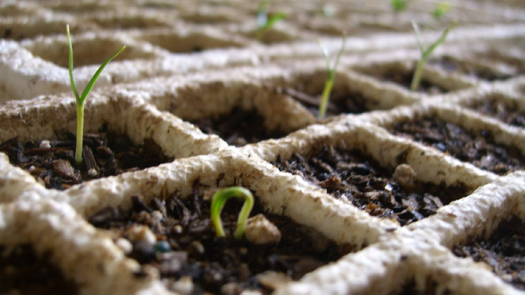 Humanity Protocol привлек $30M для децентрализованной идентификации.