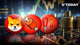 Альтсезон: Шанс для Shibarium