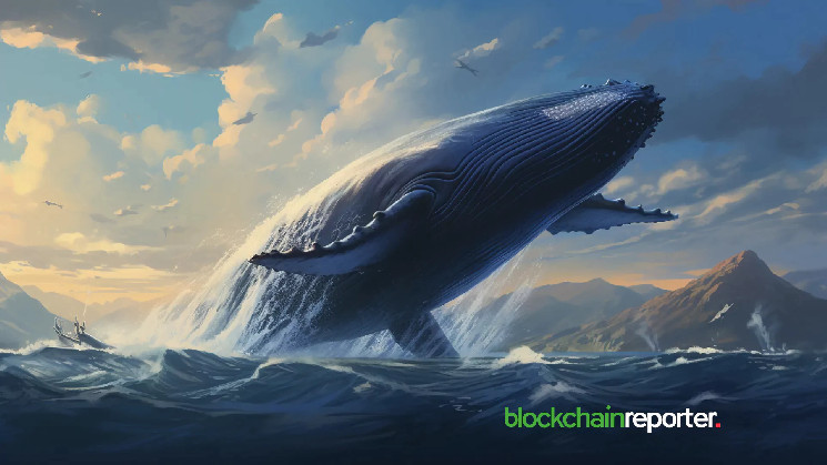 Криптовалютний інвестор купив Bitcoin на $6.72 млн