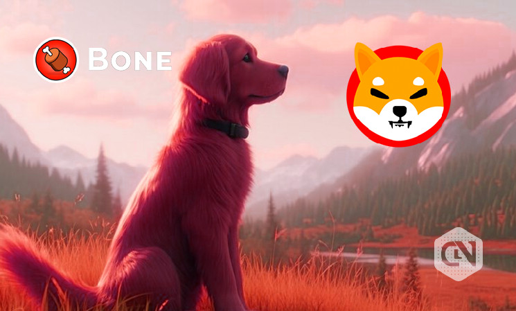 Курс BONE растет после интеграции ShibaSwap в Shibarium