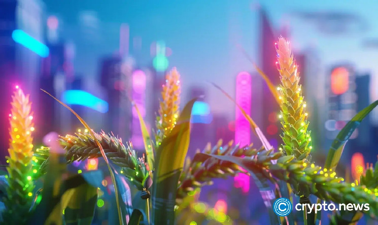 Реальні активи: шлях до реальної корисності