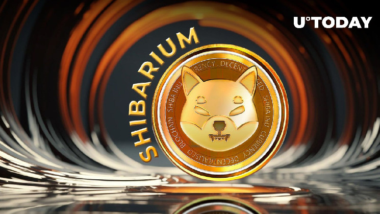 Шибариум: 97% падение транзакций, что происходит?