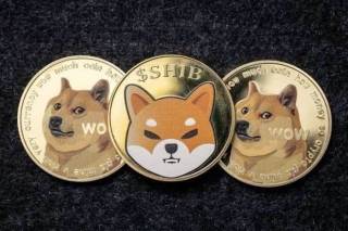 DOGE чи SHIB: краща мем-монета на літо 2024 року