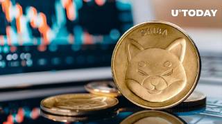 Відображення NetFlow китів у Shiba Inu: плитка на піденні